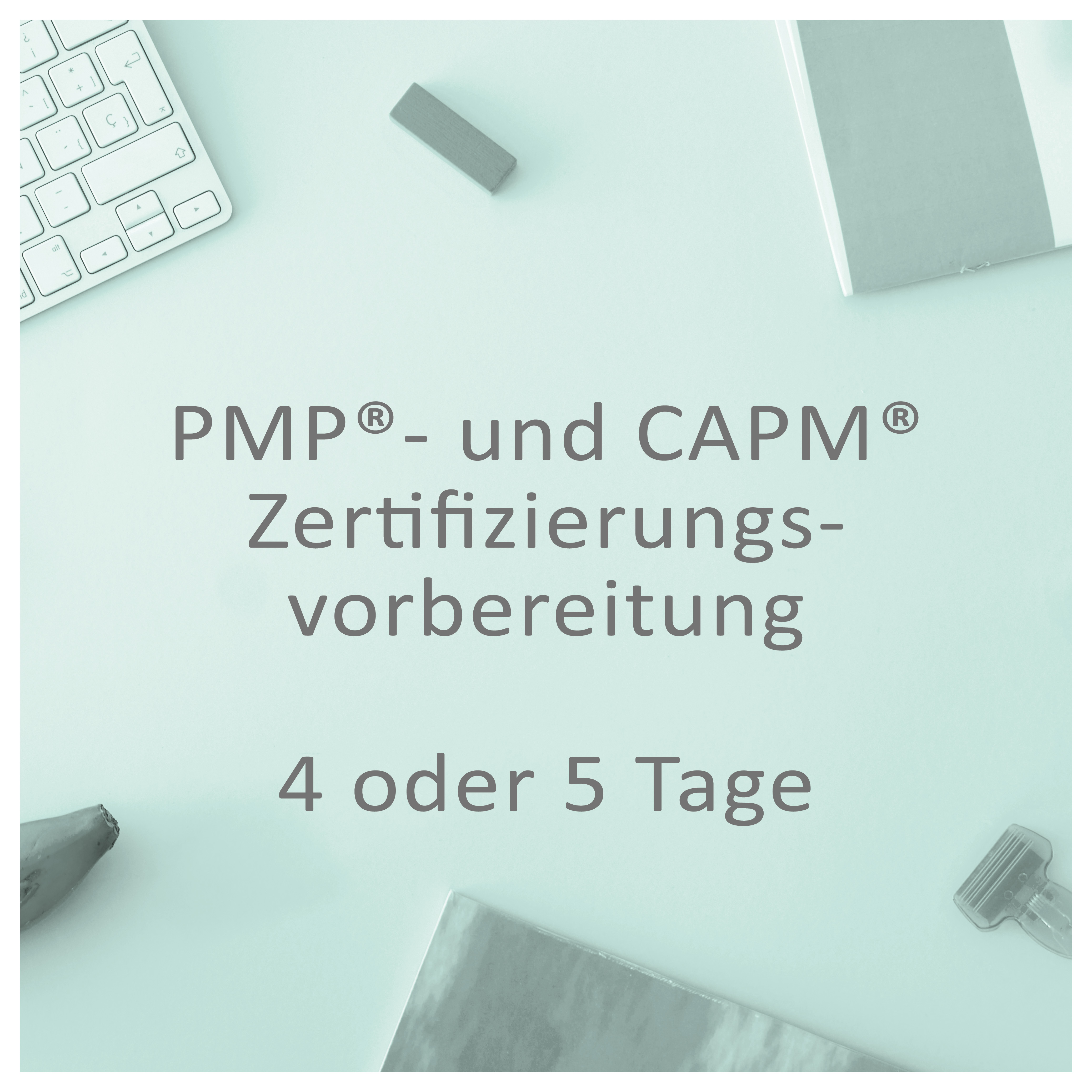 PMP und CAPM-Zertifizierungs-vorbereitung