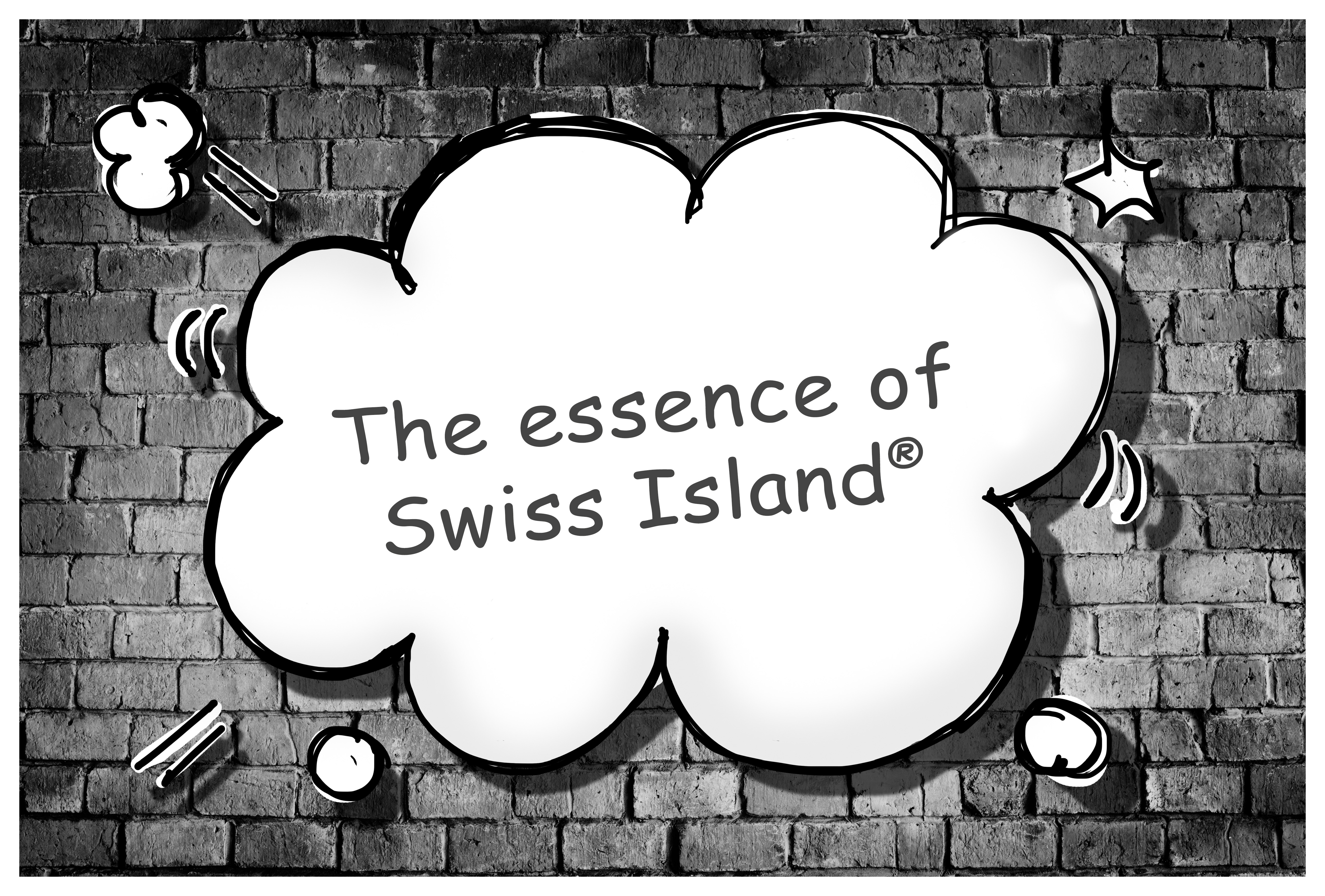 What makes Swiss Island®? An animation showing a snapshot of the simulation.