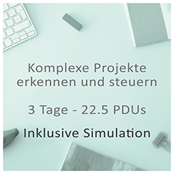 Komplexe Projekte erkennen und steuern