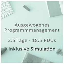 Ausgewogenes Programmmanagement 