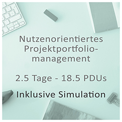 Nutzenorientiertes Projektportfolio-management