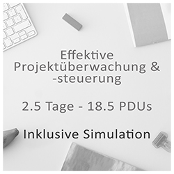 Effektive Projektüberwachung und -steuerung